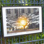 Les yeux du Cameroun paris 