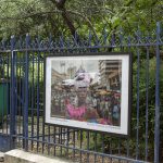 Les yeux du Cameroun paris 
